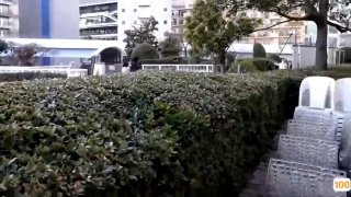 小小荡妇_十二月二十二号